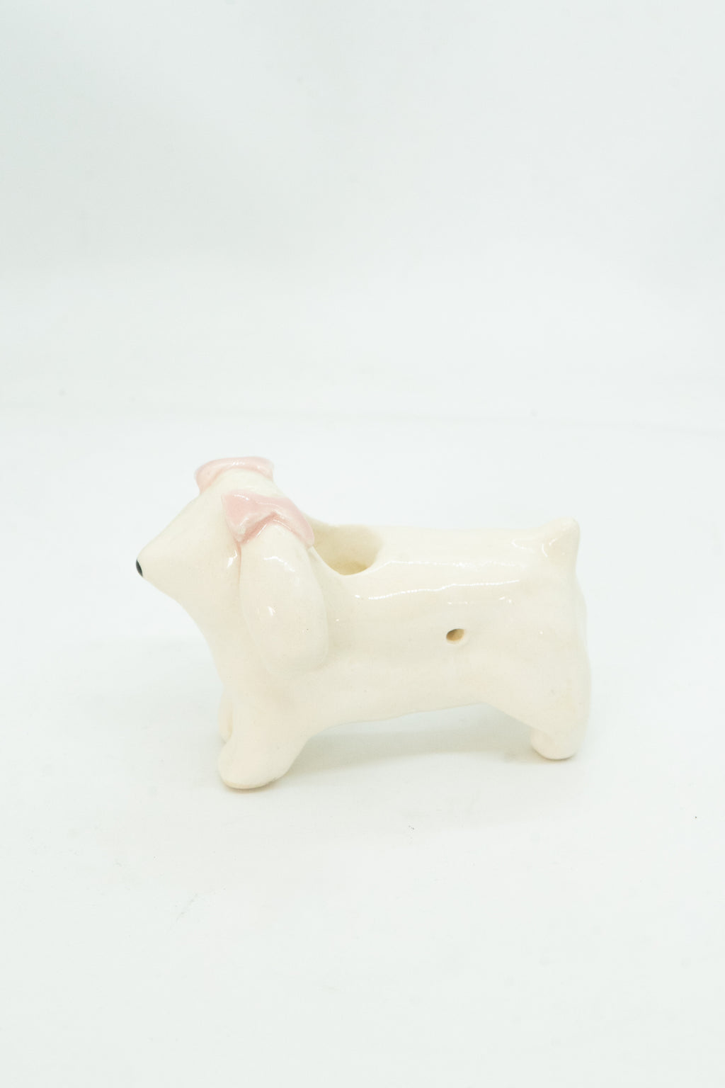 PIPA DE FRENCH POODLE