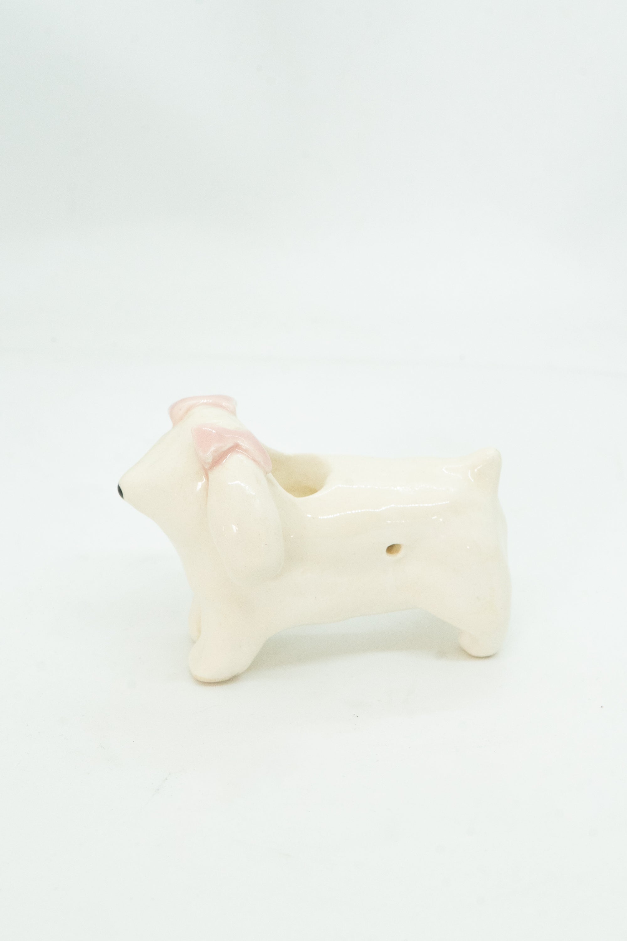 PIPA DE FRENCH POODLE