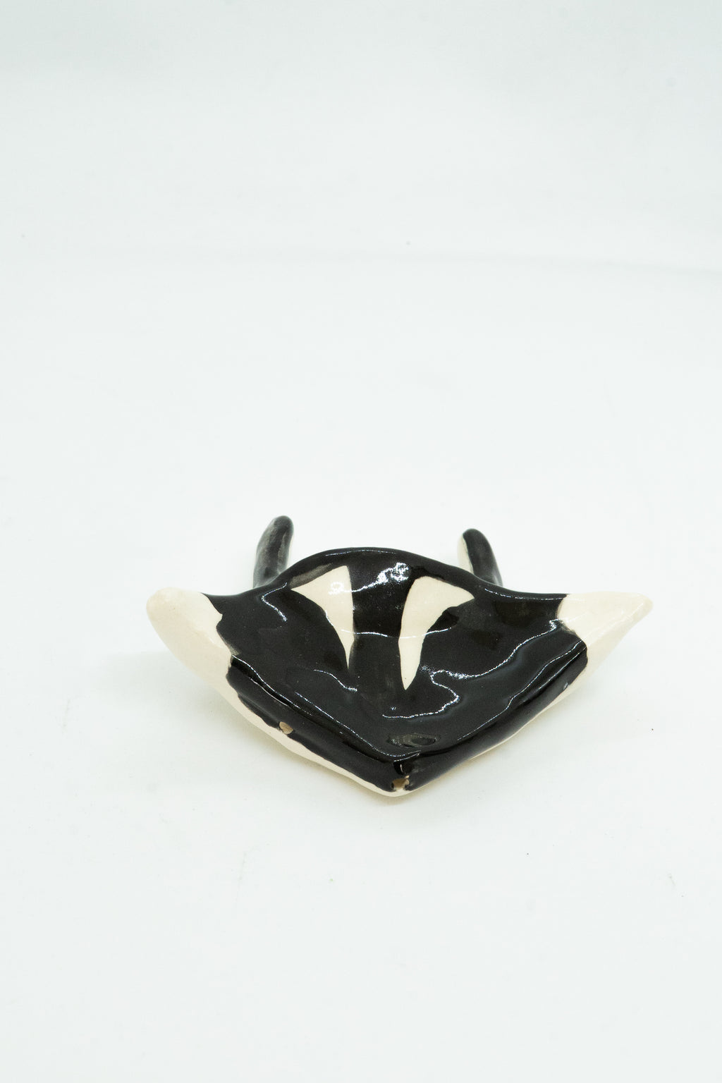 PIPA DE MANTARRAYA